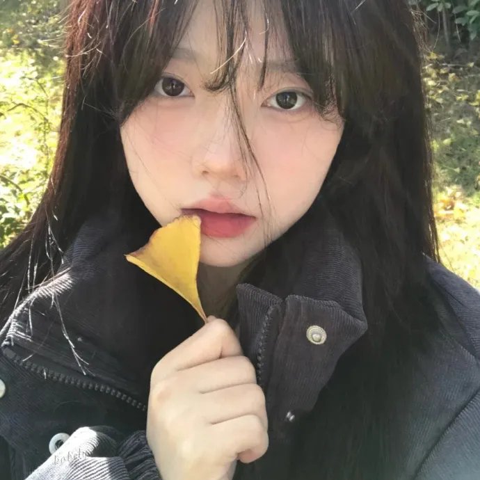 第二梦